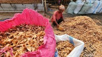 Buruh harian menjemur kulit udang di Jl Raya Cirarab, Pakuhaji, Kabupaten Tangerang, beberapa waktu lalu.  