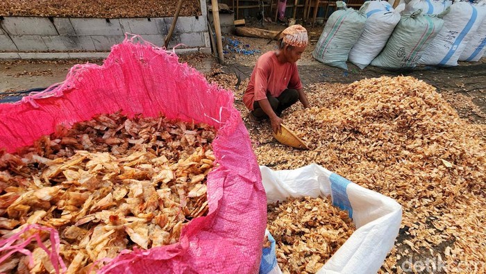 Potret Buruh Penjemur Kulit Udang Rp 100.000/Hari Kulit udang untuk bahan baku terasi harus dijemur terlebih dahulu sebelum diproduksi. Buruh harian inilah yang menjemurnya dengan upah Rp 100.000/hari.