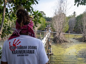 Cemari TN Karimunjawa dengan Limbah Tambak Udang, 4 Orang Jadi Tersangka