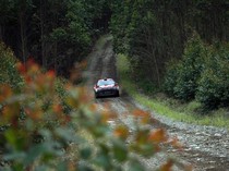 Danau Toba Rally 2023: Sean Gelael Lebih Pede Pakai Mobil Baru