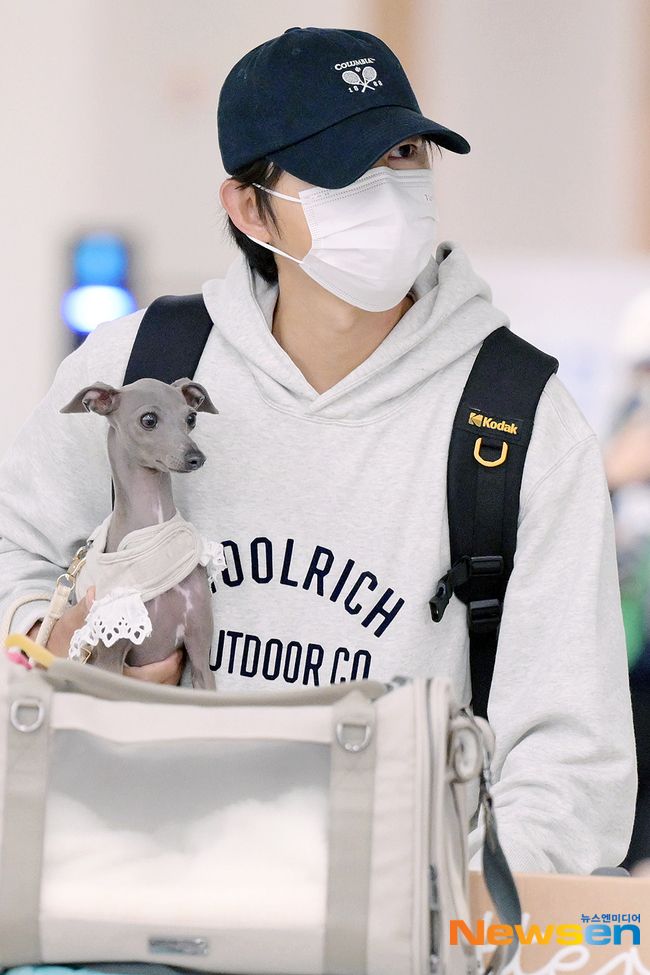 Song Joong Ki Pulang ke Korea Selatan Tanpa Istri, Anjingnya Bikin Salfok Song Joong Ki Pulang ke Korea Selatan Tanpa Istri, Anjingnya Bikin Salfok