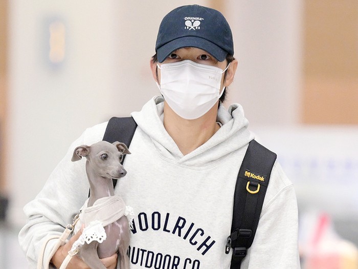 Song Joong Ki Pulang ke Korea Selatan Tanpa Istri, Anjingnya Bikin Salfok