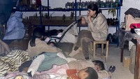 Serangan itu telah menewaskan 25 orang, dua di antaranya adalah warga sipil. Sebanyak 138 orang juga dilaporkan terluka. Sementara warga lainnya harus mengungsi. (Nagorno-Karabakh in Azerbaijan in his Twitter account via AP)  