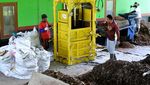 Intip Pengolahan Sampah Jadi Pupuk Kompos di Bali