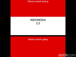 Sama-sama Merah Putih, Ini 5 Perbedaan Bendera Indonesia dan Monako