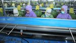 BMI Gelar Pelatihan Tingkatkan Kualitas SDM