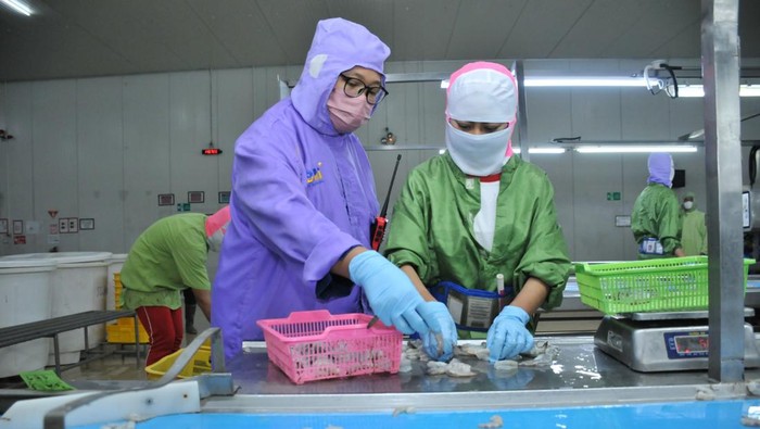 BMI Gelar Pelatihan Tingkatkan Kualitas SDM BMI Gelar Pelatihan Tingkatkan Kualitas SDM