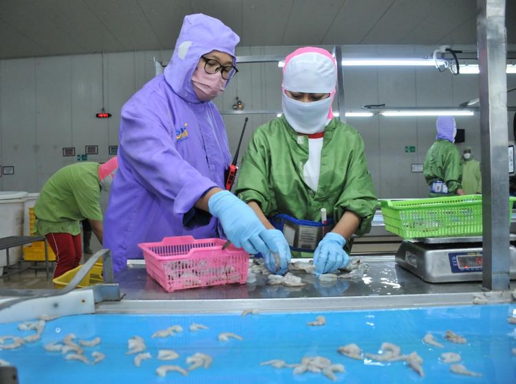 BMI Gelar Pelatihan Tingkatkan Kualitas SDM