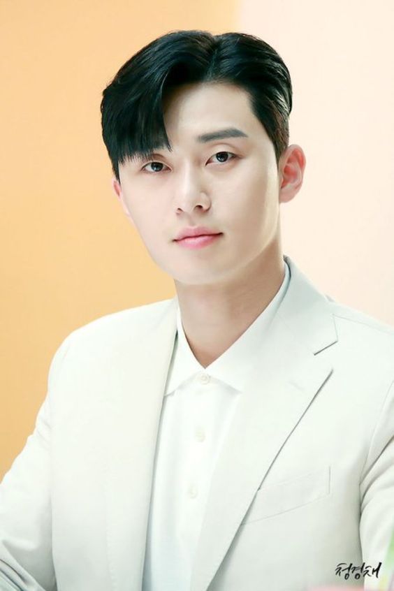 Soft Comma Hair ala Park Seo Joon.