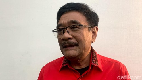Djarot Saiful Hidayat. (Mulia Budi/detikcom).