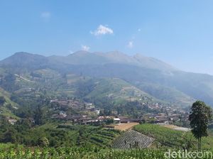 Kebakaran Gunung Merbabu Diduga Akibat Faktor Alam