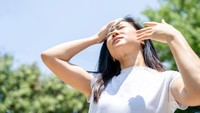 Cuaca Panas Rentan Picu Heatstroke, Samakah dengan Stroke? Ini Kata Dokter Saraf Cuaca Panas Rentan Picu Heatstroke, Samakah dengan Stroke? Ini Kata Dokter Saraf