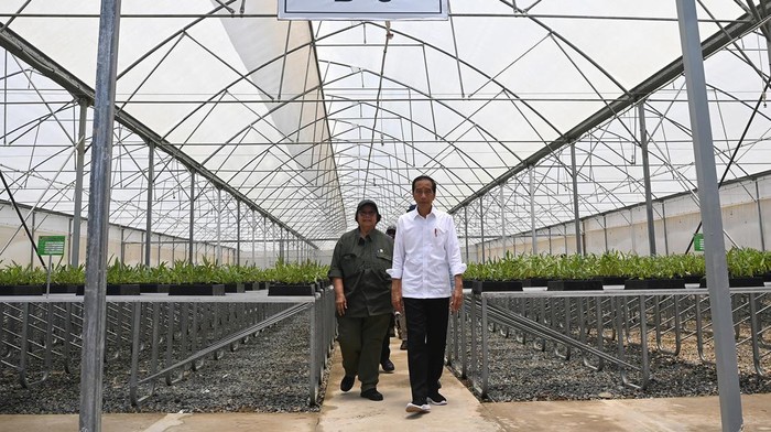 Presiden Joko Widodo (kanan) didampingi Menteri Lingkungan Hidup dan Kehutanan Siti Nurbaya (kedua kanan) dan Mensesneg Pratikno (ketiga kanan) meninjau pembibitan tanaman di Persemaian Mentawir, Penajam Paser Utara, Kalimantan Timur, Kamis (21/9/2023). Presiden meninjau langsung perkembangan pembibitan 38 jenis bibit tanaman yang nantinya untuk mendukung penghijauan di Ibu Kota Nusantara (IKN). ANTARA FOTO/Sigid Kurniawan/tom.