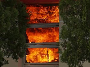 Tersangka Demo Bakar Kantor Bupati Pohuwato Bertambah Jadi 26 Orang