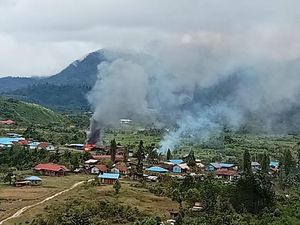 19 Anggota KKB Papua Tewas Sepanjang 2023