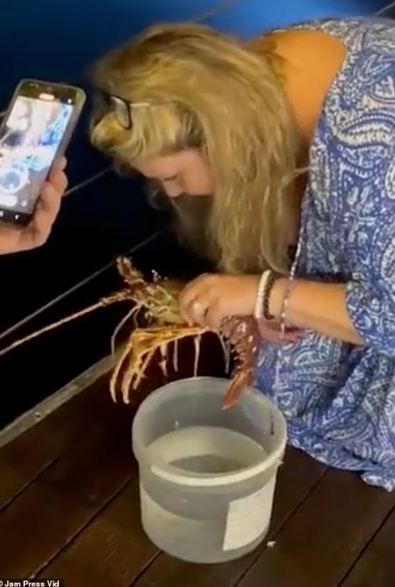 Pesan Lobster Rp 3,3 Juta, Pelanggan Ini Malah Melepaskannya ke Laut