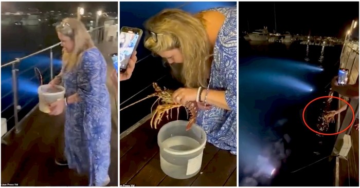 Pesan Lobster Rp 3,3 Juta, Pelanggan Ini Malah Melepaskannya ke Laut