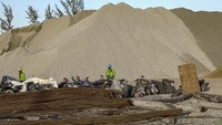 Dilansir Associated Press, Kamis (14/9/2023), sebuah kawasan industri luas yang sedang dibangun di pulau tropis Kalimantan yang telah menarik investasi asing dan domestik bernilai miliaran dolar merusak lingkungan di kawasan tempat tinggal dan migrasi hewan langka.