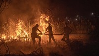Personel Polri melakukan pemadaman kebakaran lahan di Desa Muara dua, Kecamatan Pemulutan, Kabupaten Ogan Ilir (OI), Sumatera Selatan, Rabu (20/9/2023). 