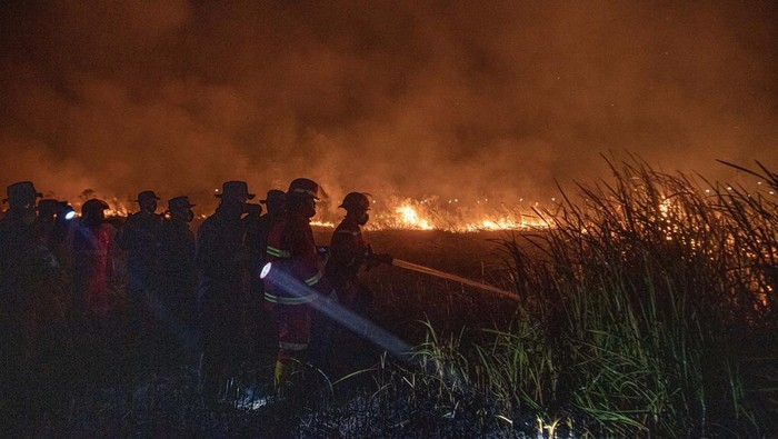 Pemadaman kebakaran lahan di Pemulutan Personel Polri melakukan pemadaman kebakaran lahan di Desa Muara dua, Kecamatan Pemulutan, Kabupaten Ogan Ilir (OI), Sumatera Selatan, Rabu (20/9/2023). Petugas gabungan dari Manggala Agni Daops Banyuasin, Polri, RPK PT Pupuk Sriwidjaja masih terus berupaya melakukan pemadaman kebakaran lahan di daerah tersebut. ANTARA FOTO/Nova Wahyudi/nzzz