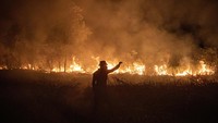 Kebakaran lahan di daerah tersebut terus meluas. 