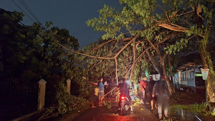 Pohon tumbang akibat hujan deras di Jalan Sialang membuat listrik padam. (Dok PLN)