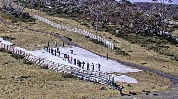 Sepetak salju di Resor Guthega, Australia