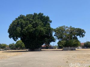 Warga Keluhkan Alun-alun Kidul Jogja Gersang-Bau Tak Sedap di Area PKL
