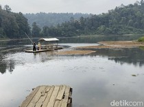 Danau Situ Gunung Surut, Wisatawan Juga Ikut Menyusut