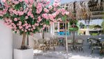 10 Kafe Estetik di Ho Chi Minh City Buat yang Mau Liburan ke Vietnam