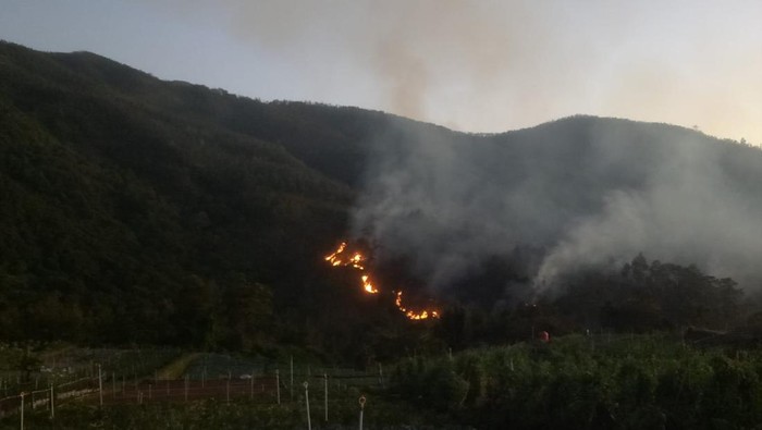 Bukit Mongkrang Tawangmangu, Karanganyar, terbakar pada Jumat (22/9/2023).