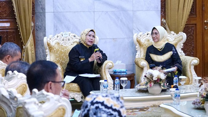 Bupati Serang Ratu Tatu Chasanah