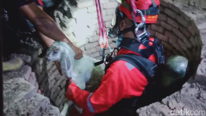 Evakuasi kambing di sumur Desa Kuncen, Kecamatan Ceper, Klaten, Jumat (22/9/2023).