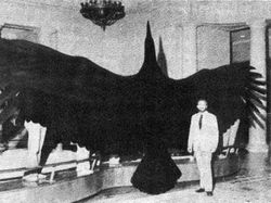 Foto Jadul Ini Punya Cerita Mengejutkan