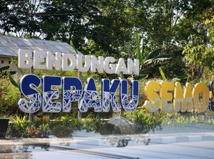 Progres Capai 28,8%, Instalasi Pengolahan Air Sepaku Semoi IKN Beroperasi Juni