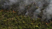 Hutan Serra das Bandeiras di Brasil terbakar, Kamis (21/9/2023) waktu setempat.  