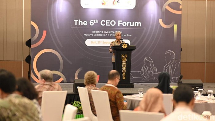 Kepala SKK Migas Dwi Soetjipto