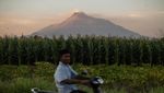 Lihat Lagi Potret Kubah Lava Gunung Merapi yang Alami Morfologi