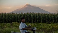 Menurut data Balai Penyelidikan dan Pengembangan Teknologi Kebencanaan Geologi (BPPTKG) periode tanggal 15-21 September 2023 terjadi perubahan morfologi kubah lava barat daya akibat aktivitas pertumbuhan dan guguran lava dengan volume 2.858.600 meter kubik sedangkan kubah lava tengah sebesar 2.335.100 meter kubik.  