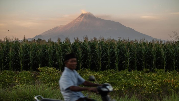 Kubah lava Gunung Merapi Kubah lava Gunung Merapi terlihat dari Ngemplak, Sleman, DI Yogyakarta, Jumat (22/9/2023). Menurut data Balai Penyelidikan dan Pengembangan Teknologi Kebencanaan Geologi (BPPTKG) periode tanggal 15-21 September 2023 terjadi perubahan morfologi kubah lava barat daya akibat aktivitas pertumbuhan dan guguran lava dengan volume 2.858.600 meter kubik sedangkan kubah lava tengah sebesar 2.335.100 meter kubik. ANTARA FOTO/Hendra Nurdiyansyah/rwa.