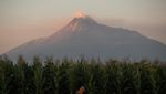 Lihat Lagi Potret Kubah Lava Gunung Merapi yang Alami Morfologi