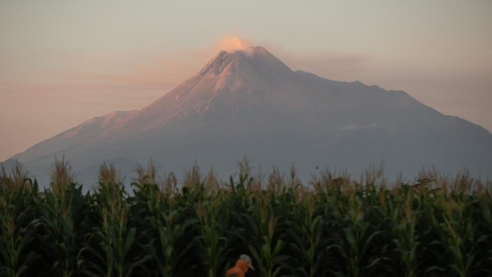 Kubah lava Gunung Merapi terlihat dari Ngemplak, Sleman, DI Yogyakarta, Jumat (22/9/2023). Menurut data Balai Penyelidikan dan Pengembangan Teknologi Kebencanaan Geologi (BPPTKG) periode tanggal 15-21 September 2023 terjadi perubahan morfologi kubah lava barat daya akibat aktivitas pertumbuhan dan guguran lava dengan volume 2.858.600 meter kubik sedangkan kubah lava tengah sebesar 2.335.100 meter kubik. ANTARA FOTO/Hendra Nurdiyansyah/rwa.
