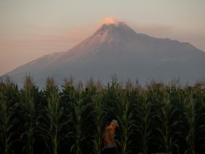 Gunung Merapi Luncurkan Awan Panas 2,4 Km ke Arah Kali Bebeng