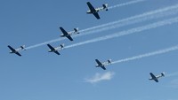 Pesawat bermesin piston buatan Amerika tersebut memiliki kemampuan jelajah 1.713 km dengan ketinggian maksimum 5.639 meter yang digunakan sebagai alat instruksi pelatihan bagi personil penerbang TNI AL.  