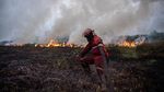 Damkar Terus Berjuang Padamkan Karhutla di Ogan Ilir