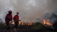 Petugas berusaha memadamkan kebakaran dengan cara menyemprot dengan air.