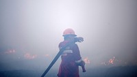 Berdasarkan data dari Balai Pengendalian Perubahan Iklim dan Kebakaran Hutan dan Lahan Wilayah Sumatera, sepanjang Januari hingga Agustus 2023 luas kebakaran hutan dan lahan (Karhutla) di Sumatera Selatan mencapai 4.082,8 hektare yang terbagi menjadi 2,947,8 lahan mineral dan 1.135,0 lahan gambut.  