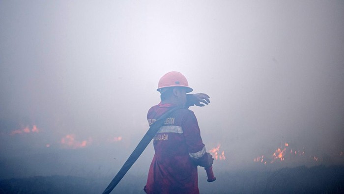 Petugas dari Manggala Agni Daops Banyuasin berupaya memadamkan kebakaran lahan di Desa Muara dua, Kecamatan Pemulutan, Kabupaten Ogan Ilir (OI), Sumatera Selatan, Kamis (21/9/2023). Berdasarkan data dari Balai Pengendalian Perubahan Iklim dan Kebakaran Hutan dan Lahan Wilayah Sumatera sepanjang Januari hingga Agustus 2023 luas kebakaran hutan dan lahan (Karhutla) di Sumatera Selatan mencapai 4.082,8 hektare yang terbagi menjadi 2,947,8 lahan mineral dan 1.135,0 lahan gambut. ANTARA FOTO/Nova Wahyudi/rwa.
