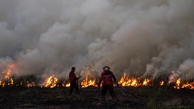 Damkar Terus Berjuang Padamkan Karhutla di Ogan Ilir