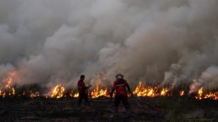 Petugas dari Manggala Agni Daops Banyuasin berupaya memadamkan kebakaran lahan di Desa Muara dua, Kecamatan Pemulutan, Kabupaten Ogan Ilir (OI), Sumatera Selatan, Kamis (21/9/2023). Berdasarkan data dari Balai Pengendalian Perubahan Iklim dan Kebakaran Hutan dan Lahan Wilayah Sumatera sepanjang Januari hingga Agustus 2023 luas kebakaran hutan dan lahan (Karhutla) di Sumatera Selatan mencapai 4.082,8 hektare yang terbagi menjadi 2,947,8 lahan mineral dan 1.135,0 lahan gambut. ANTARA FOTO/Nova Wahyudi/rwa.